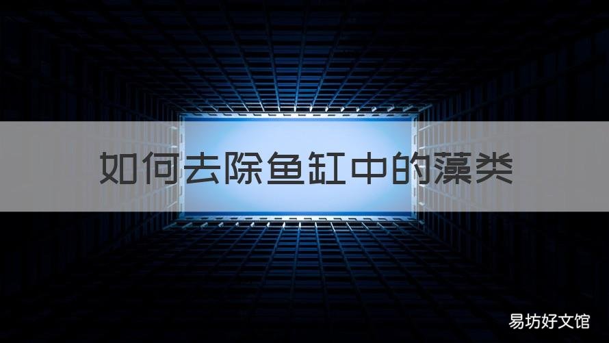 如何去除鱼缸中的藻类 如何去除鱼缸中的藻类细菌