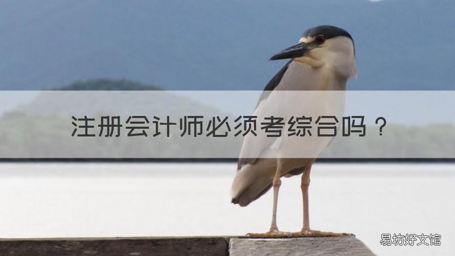 注册会计师必须考综合吗 注册会计师需要考综合吗