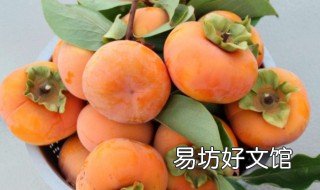 柿子如何放熟 柿子放熟的方法