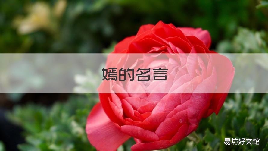 嫣的名言 嫣然的句子