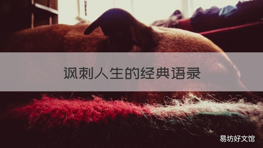 讽刺人生的经典语录 讽刺人生的经典语录简短