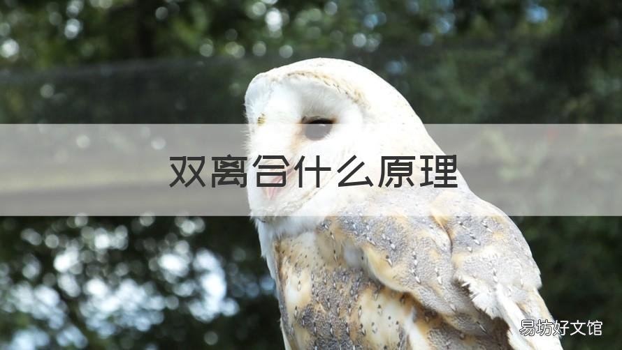 双离合什么原理 双离合的构造原理
