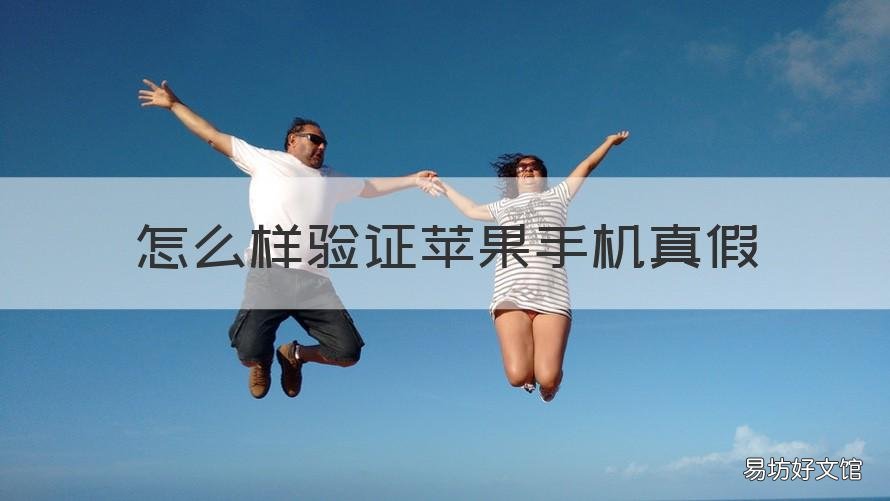 怎么样验证苹果手机真假 怎么才能验证苹果手机真假