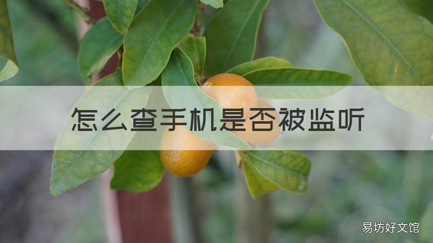怎么查手机是否被监听 怎么查手机是否被监听和定位