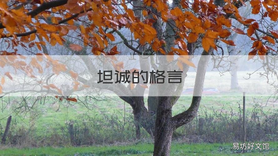 坦诚的格言 关于真诚坦率的名言