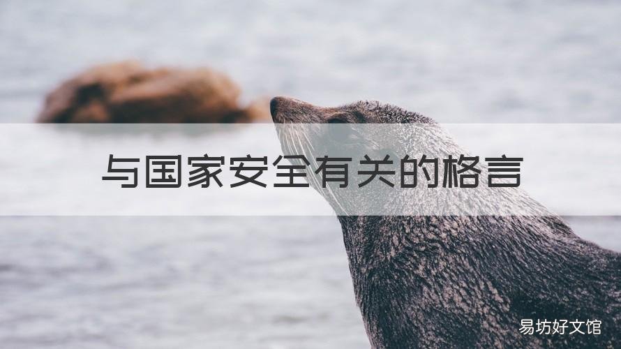 与国家安全有关的格言 体现国家安全的名言