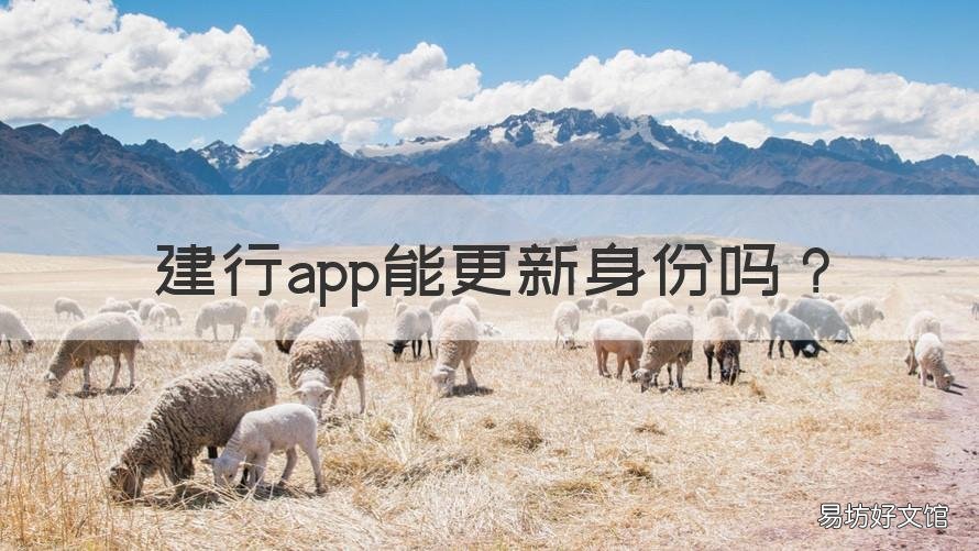 建行app能更新身份吗 建行app能更新身份信息吗