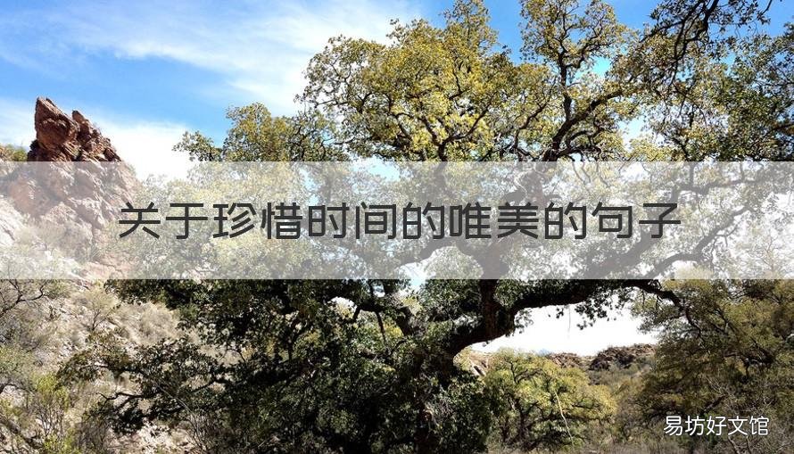 关于珍惜时间的唯美的句子 有关珍惜时间的优美句子
