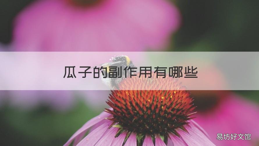 瓜子的副作用有哪些 瓜子有什么作用