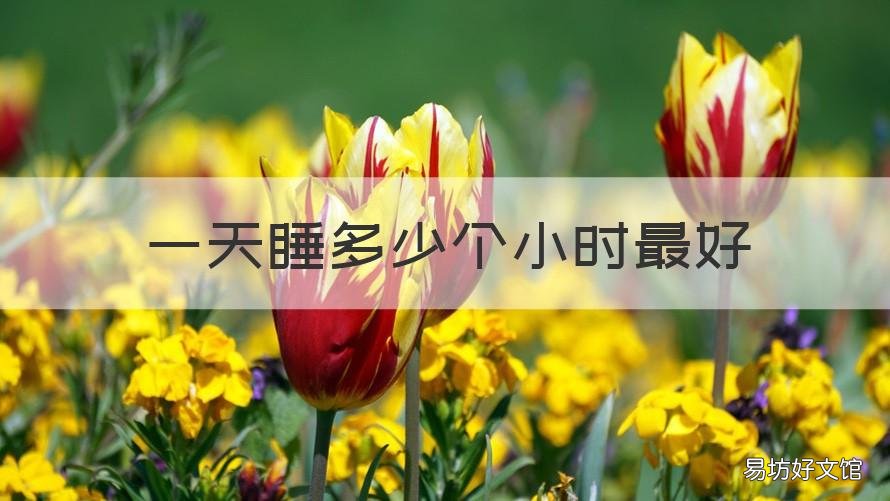 一天睡多少个小时最好 一天应该睡几个小时最好