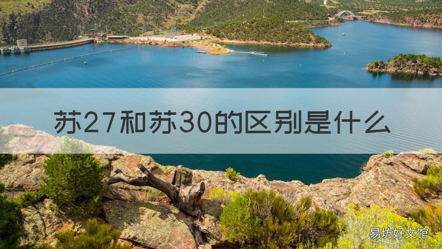 苏27和苏30的区别是什么 苏27苏30区别图