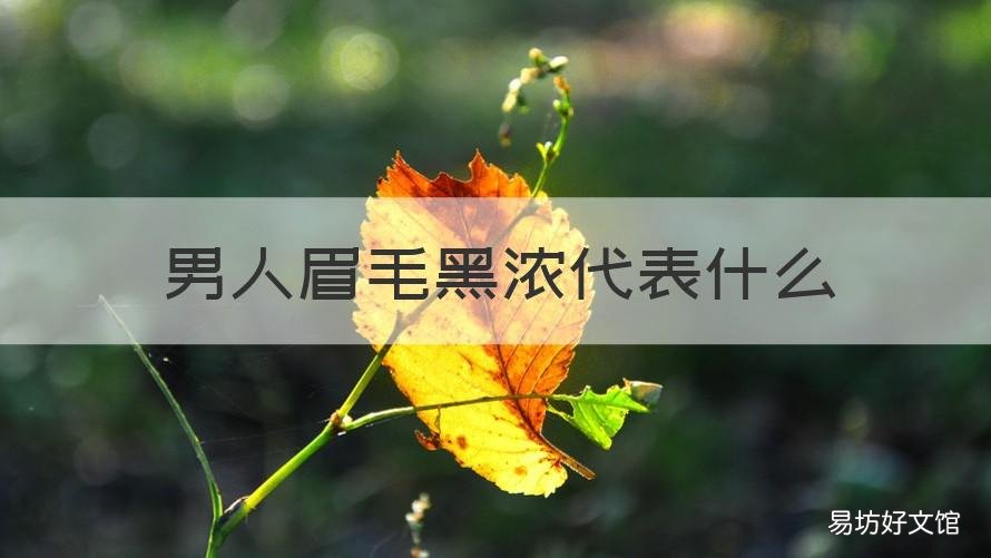男人眉毛黑浓代表什么 男人眉毛黑粗浓说明什么