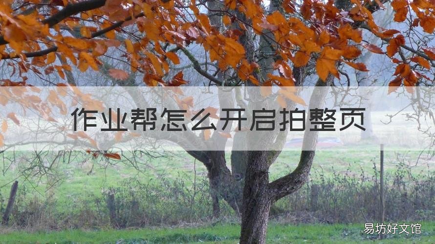 作业帮怎么开启拍整页 作业帮拍整页功能在哪里设置