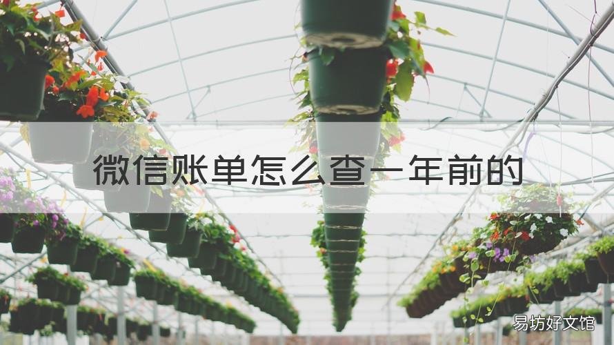 微信账单怎么查一年前的 微信账单怎么查询一年前的