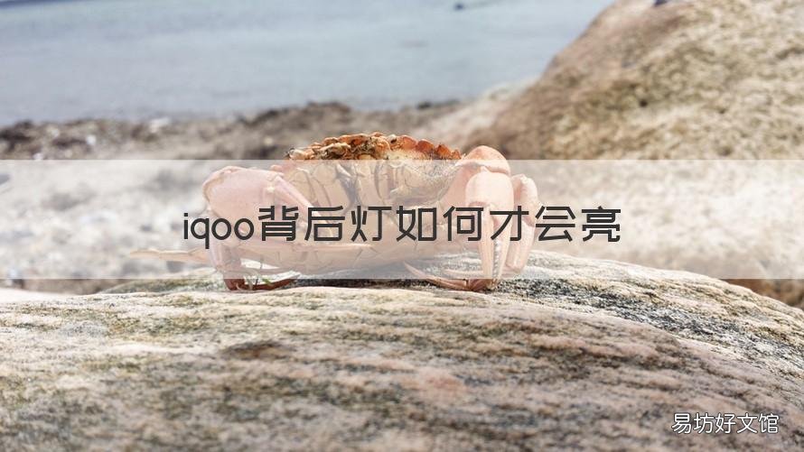 iqoo背后燈如何才會亮 iqoo手機背后燈光怎么開啟