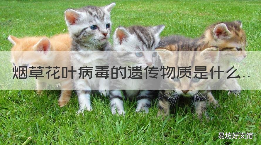烟草花叶病毒的遗传物质是什么 烟草花叶病毒的遗传物质是dna还是rna