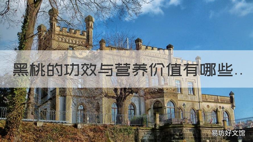 黑桃的功效与营养价值有哪些 黑桃对人体有哪些好处