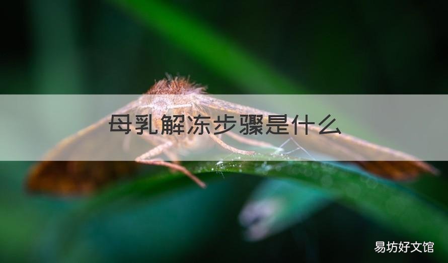 母乳解冻步骤是什么 解冻母乳的正确方式