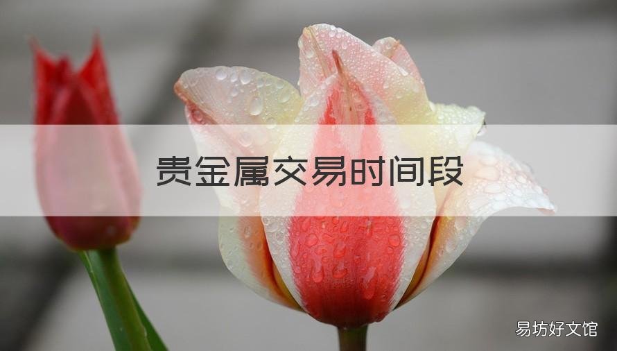 贵金属交易时间段 贵金属交易时间?