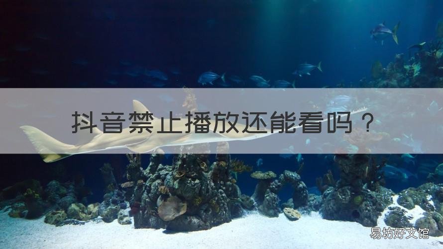 抖音禁止播放还能看吗 抖音视频被禁止播放了怎么办