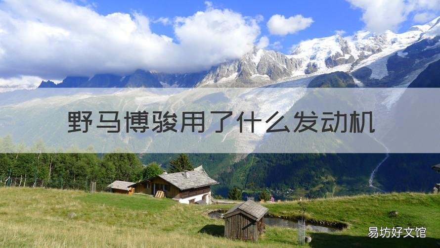 野马博骏用了什么发动机 野马博骏动力方面怎么样