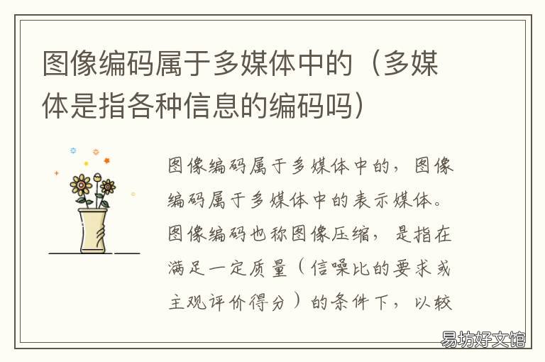 图像编码属于多媒体中的 图像编码属于多媒体中的哪一类
