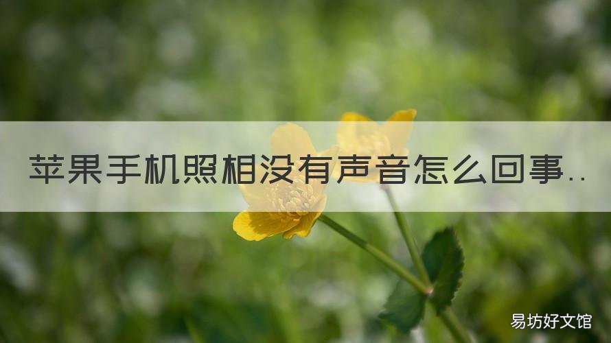 苹果手机照相没有声音怎么回事 苹果手机照相的时候怎么没有声音了