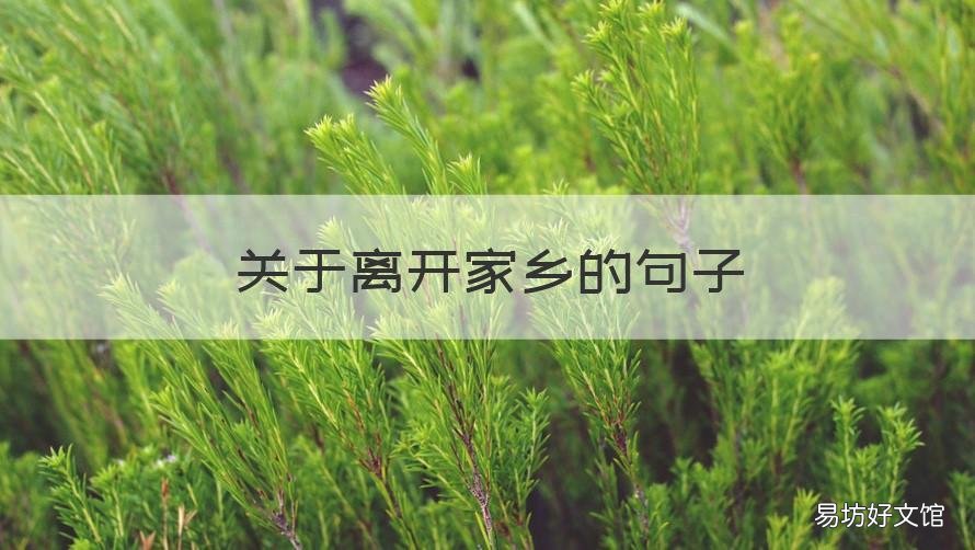 关于离开家乡的句子 表达要离开家乡的说说