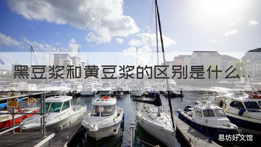 黑豆浆和黄豆浆的区别是什么 黑豆浆和黄豆浆有什么区别