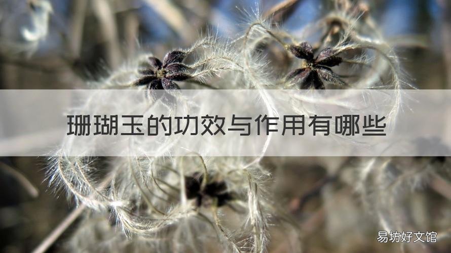 珊瑚玉的功效与作用有哪些 珊瑚玉的功效与作用有哪些呢
