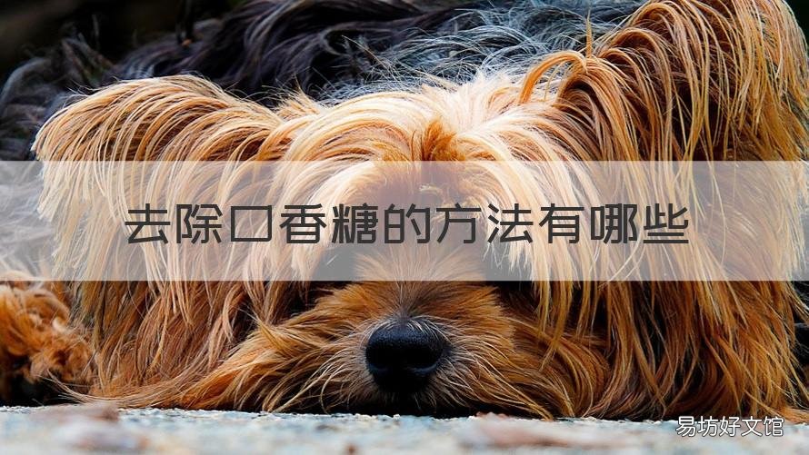 去除口香糖的方法有哪些 去除口香糖的方法有哪些呢
