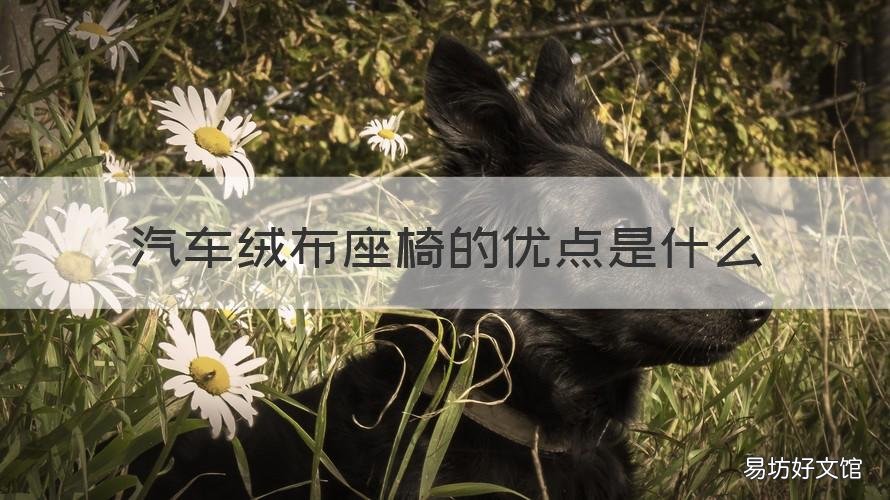 汽车绒布座椅的优点是什么 汽车布座椅和皮座椅的区别