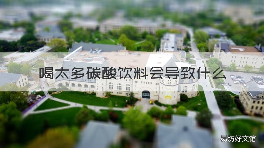 喝太多碳酸饮料会导致什么 喝太多碳酸饮料会导致什么后果