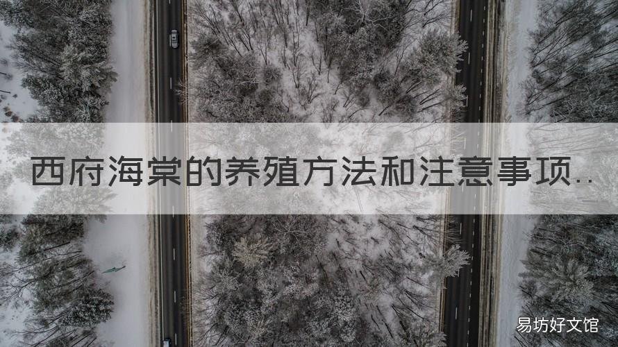 西府海棠的养殖方法和注意事项 西府海棠的养殖方法和注意事项 盆栽