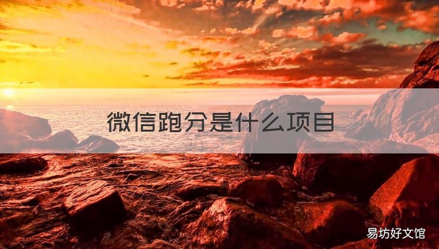 微信跑分是什么项目