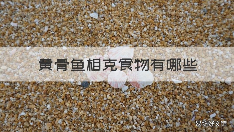 黄骨鱼相克食物有哪些 黄骨鱼相克食物有哪些图片
