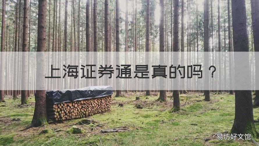 上海证券通是真的吗