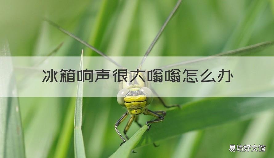 冰箱响声很大嗡嗡怎么办 冰箱响声很大嗡嗡怎么办视频