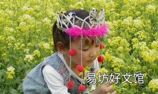 网红那个插兜小女孩是谁 网红大网兜