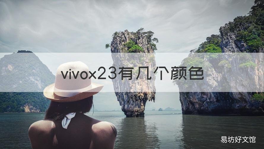 vivox23有几个颜色 vivox23配色都有什么