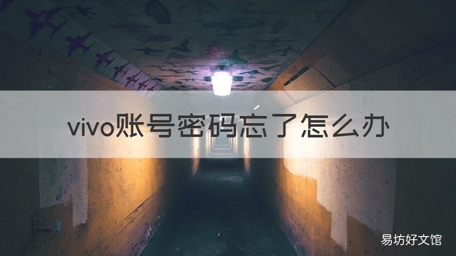 vivo账号密码忘了怎么办 vivo账号密码忘了怎么办 解开