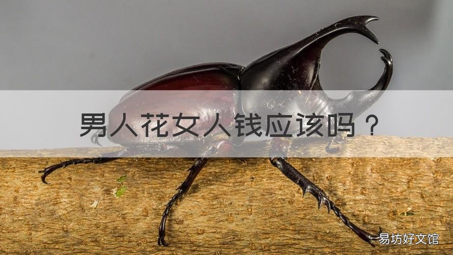 男人花女人钱应该吗 男人应该花女人的钱吗