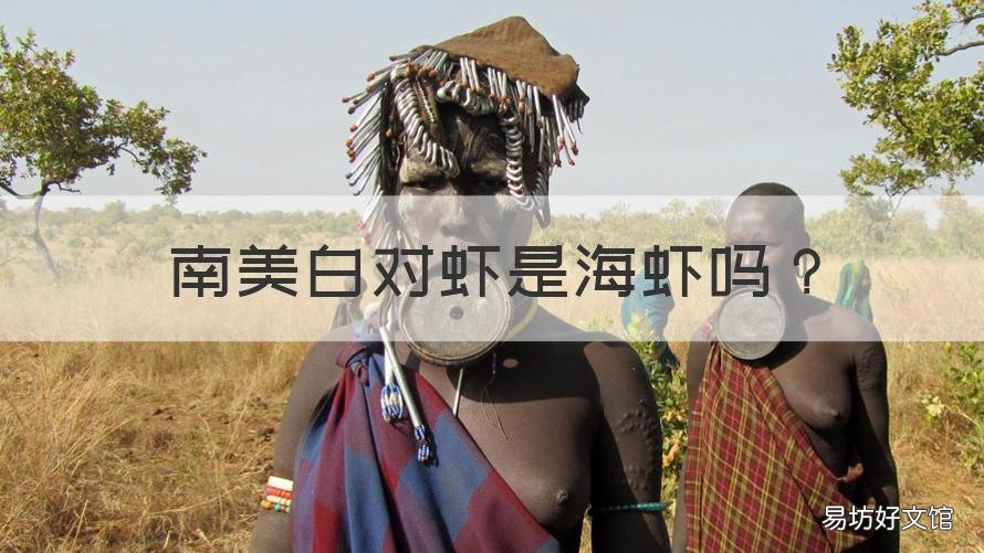 南美白对虾是海虾吗 南美白对虾是海水虾吗