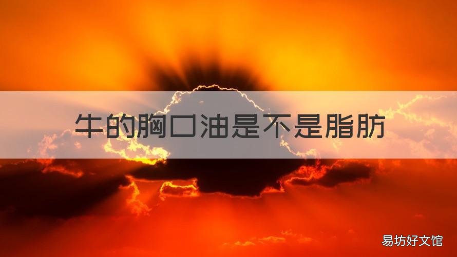 牛的胸口油是不是脂肪 牛胸口油脂肪含量