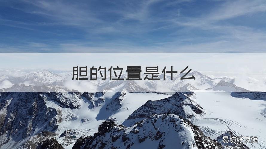 胆的位置是什么 胆那个位置