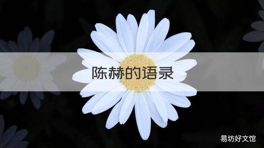 陈赫的语录 陈赫常说的一句话
