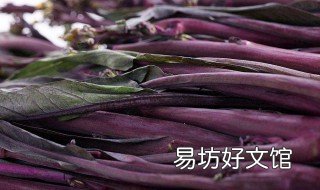 红菜苔怎么炒才好吃 红菜苔怎么炒好吃做法