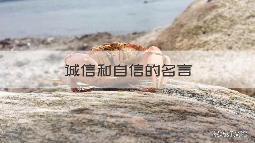 诚信和自信的名言 诚信自信勇敢的名言名句