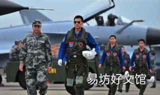 歼十出击印双虎结局