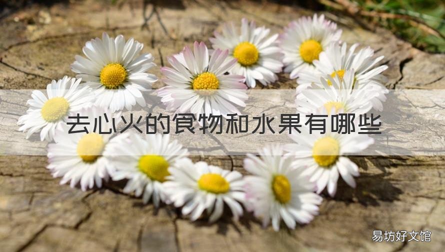 去心火的食物和水果有哪些 什么是去心火的食物